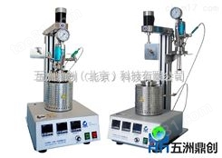 北京实验室小型釜反应釜 磁力搅拌生产厂家