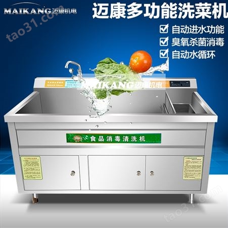 臭氧气泡蔬菜清洗机 叶菜清洗机 洗菜设备 多功能洗菜机