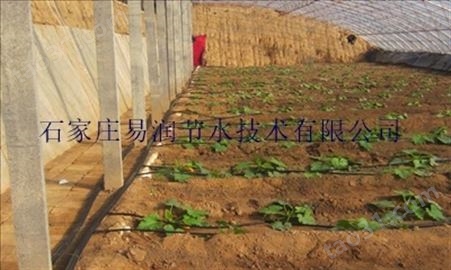 华龙区蔬菜滴灌/青菜灌水管技术说明_