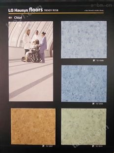 LG特兰迪地板 商用pvc卷材地板 地胶包工包料